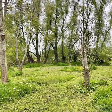 Dorothea Casa vacanze Burtevitz